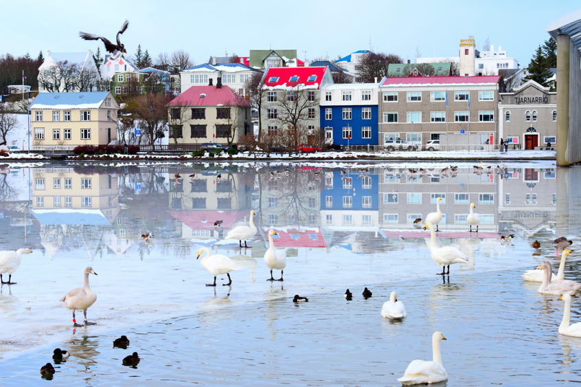 Recit de voyage Islande: Reykjavik, la capitale