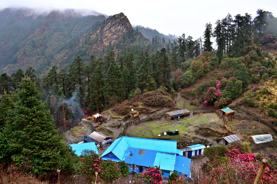 Poon Hill : Notre trek dans l’Himalaya – Népal