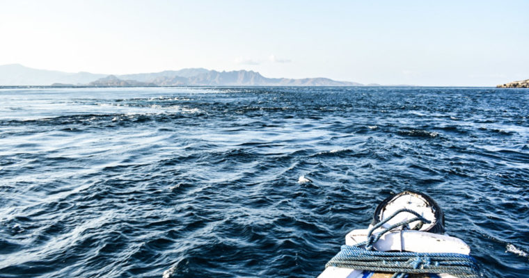 Croisière dans le parc national de Komodo