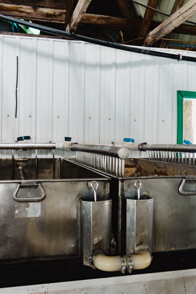 sirop d'érable production