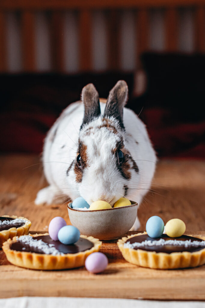Tartelette chocolat pâques
